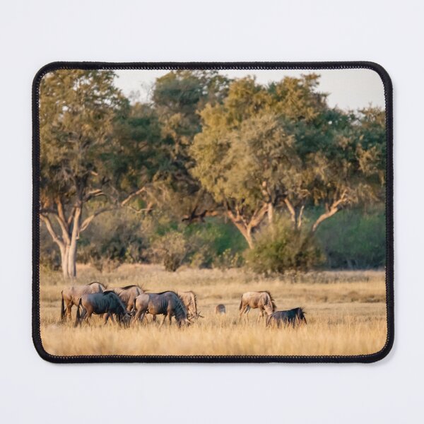 Item preview, Woodland Glow — Blue Wildebeest Grazing at Dusk, Southern African Savanna (2023) designed and sold by DavideAntoniani.