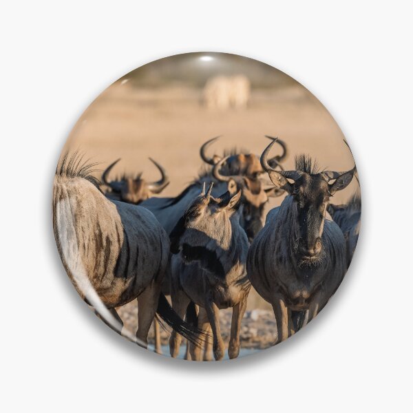 Item preview, Waterhole Front Line — Blue Wildebeest Lineup at Sunset, Etosha, Namibia (2023) designed and sold by DavideAntoniani.