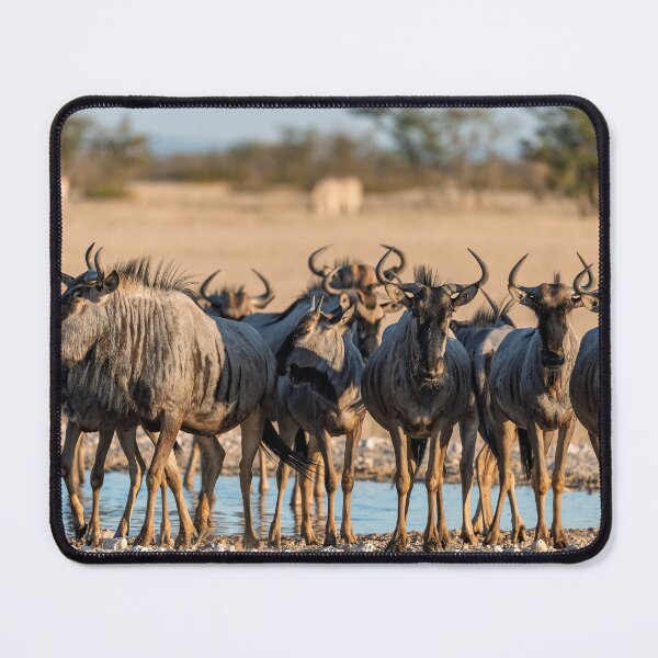 Item preview, Waterhole Front Line — Blue Wildebeest Lineup at Sunset, Etosha, Namibia (2023) designed and sold by DavideAntoniani.
