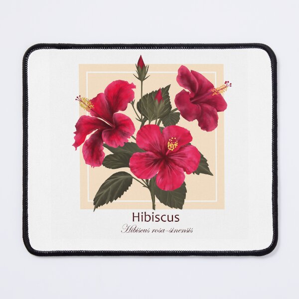 Item preview, Hibiscus Flowers (Hibiscus rosa-sinensis) designed and sold by Art_By_Wing.