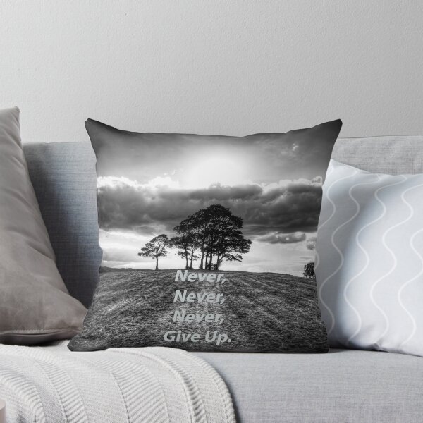 Item preview, Never, Never, Never, Give Up by Winston Churchill designed and sold by Paul Thompson Photography.