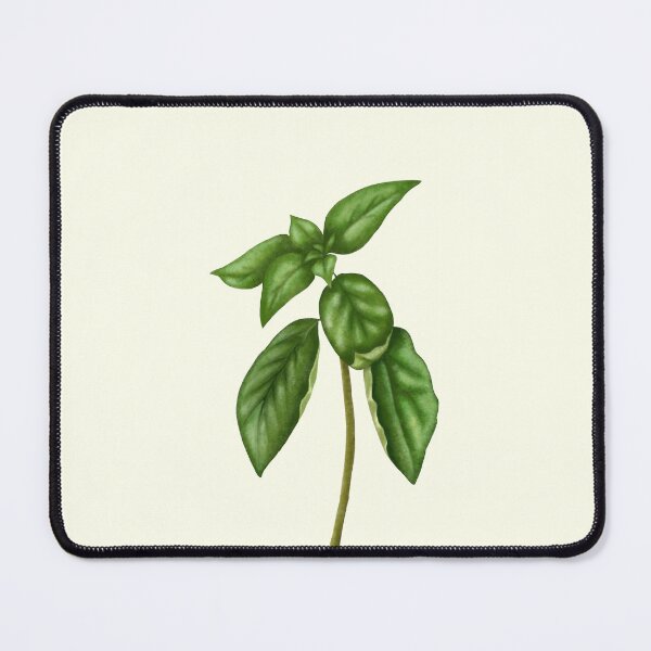 Item preview, Basil Herb Botanical Print - Kitchen Garden Art designed and sold by Fiurdelin.