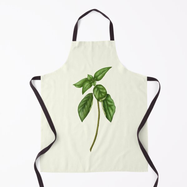 Item preview, Basil Herb Botanical Print - Kitchen Garden Art designed and sold by Fiurdelin.