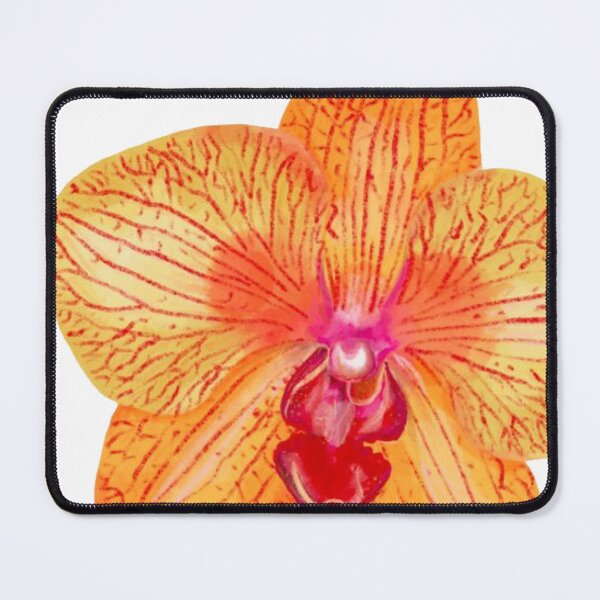 Item preview, yellow orange striped orchid flower sticker designed and sold by inainart.