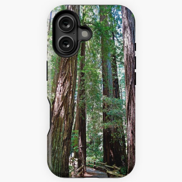 Vista previa del artículo con la obra «Estudio Muir Woods 15», diseñado y vendido por Robert Meyers-Lussier.