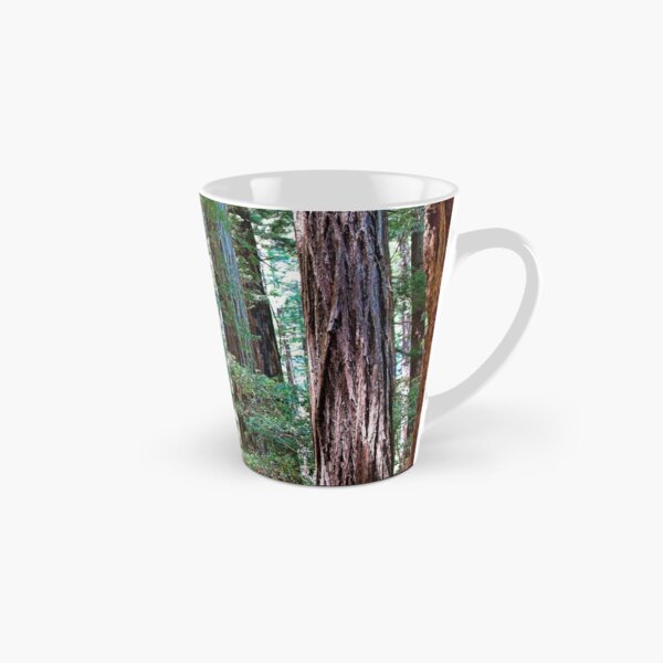 Muir Woods Study 15 Tall Mug