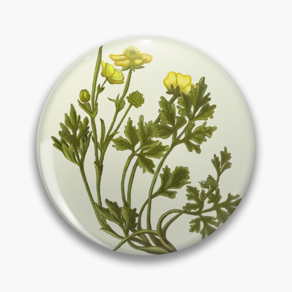 Item preview, Ranunculus Flower Print - Layered Petal Botanical Art designed and sold by Fiurdelin.