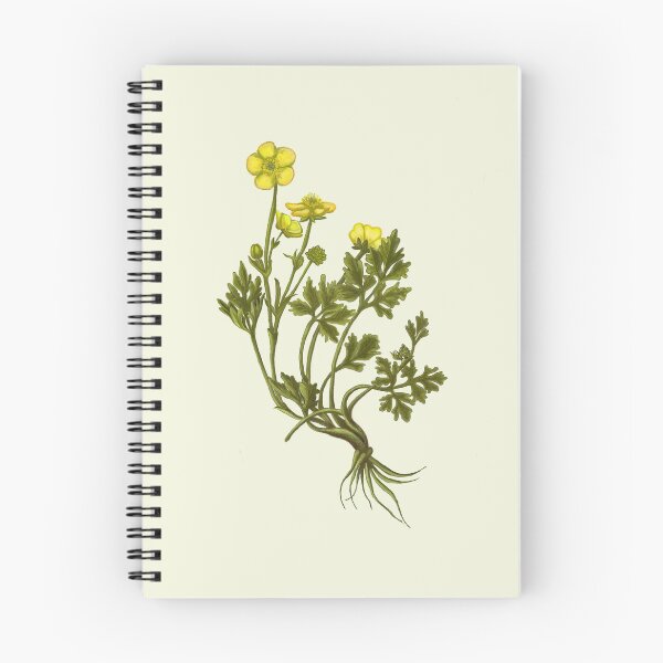 Item preview, Ranunculus Flower Print - Layered Petal Botanical Art designed and sold by Fiurdelin.