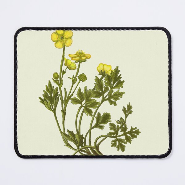 Item preview, Ranunculus Flower Print - Layered Petal Botanical Art designed and sold by Fiurdelin.