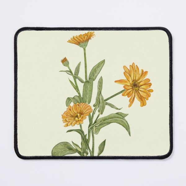 Item preview, Calendula Flower Botanical Art - Marigold Garden Print designed and sold by Fiurdelin.