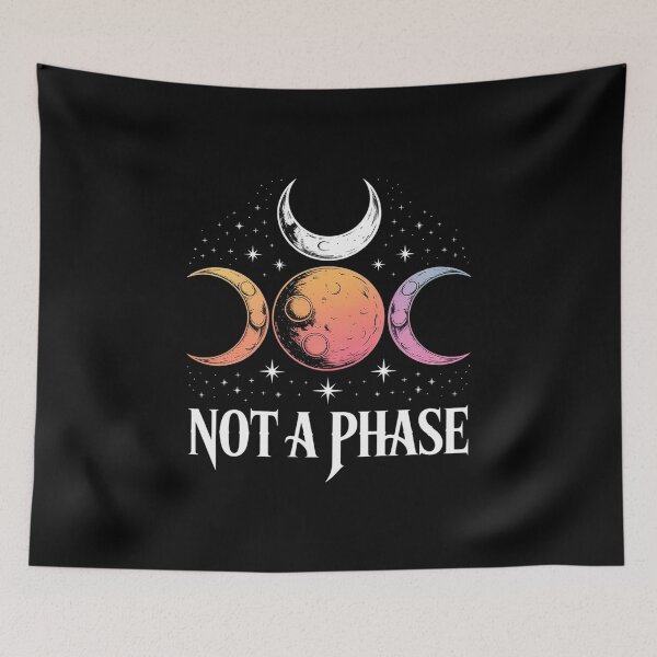 Item preview, Lesbian Pride Flag Not A Phase  designed and sold by KonstanKoraner.