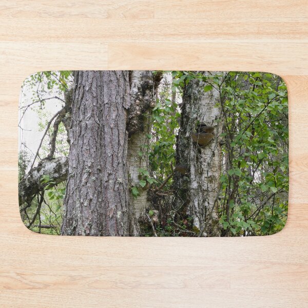 Item preview, Trees. Kuusamo, Ristikallio designed and sold by Jouko Lehto Photography.