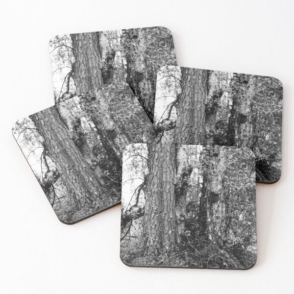 Item preview, Trees. Kuusamo, Ristikallio bw designed and sold by Jouko Lehto Photography.