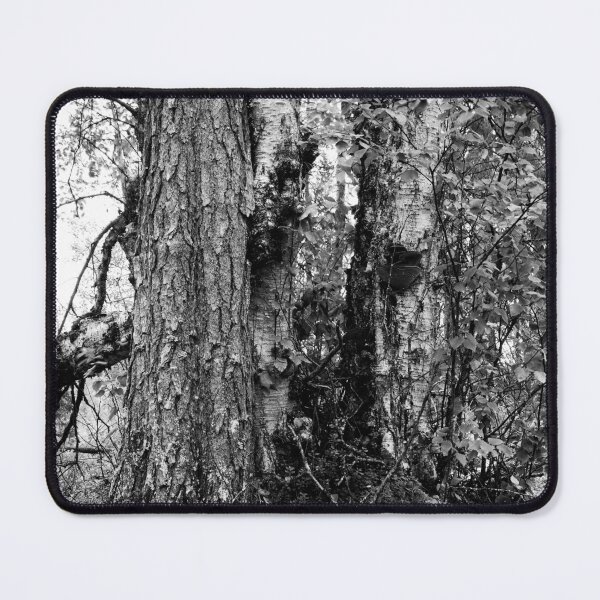 Item preview, Trees. Kuusamo, Ristikallio bw designed and sold by Jouko Lehto Photography.