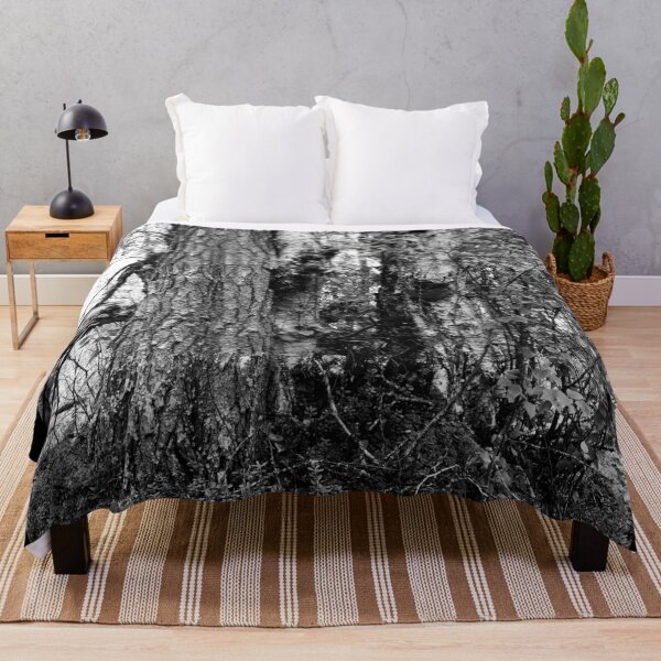 Item preview, Trees. Kuusamo, Ristikallio bw designed and sold by Jouko Lehto Photography.