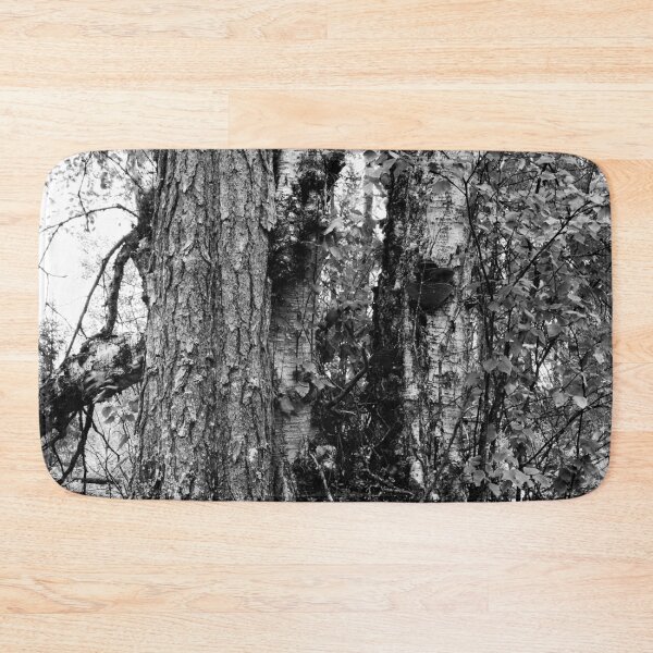 Item preview, Trees. Kuusamo, Ristikallio bw designed and sold by Jouko Lehto Photography.