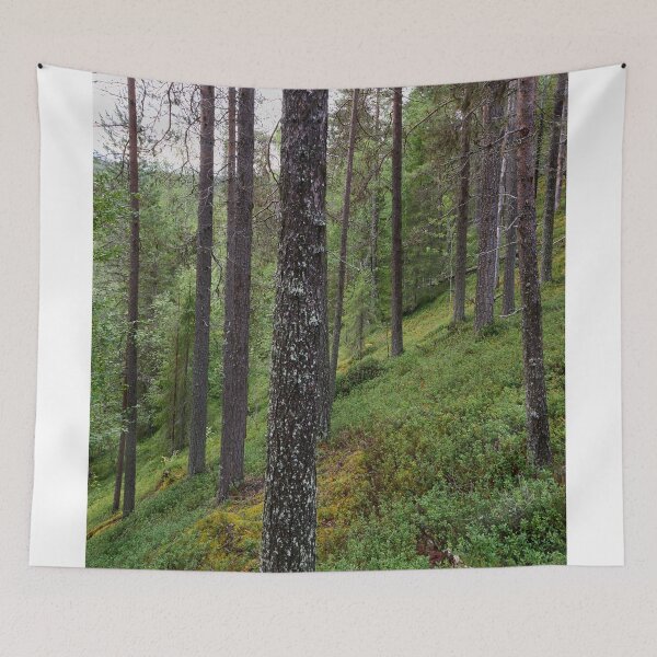 Item preview, Pineside. Kuusamo, Ristikallio designed and sold by Jouko Lehto Photography.