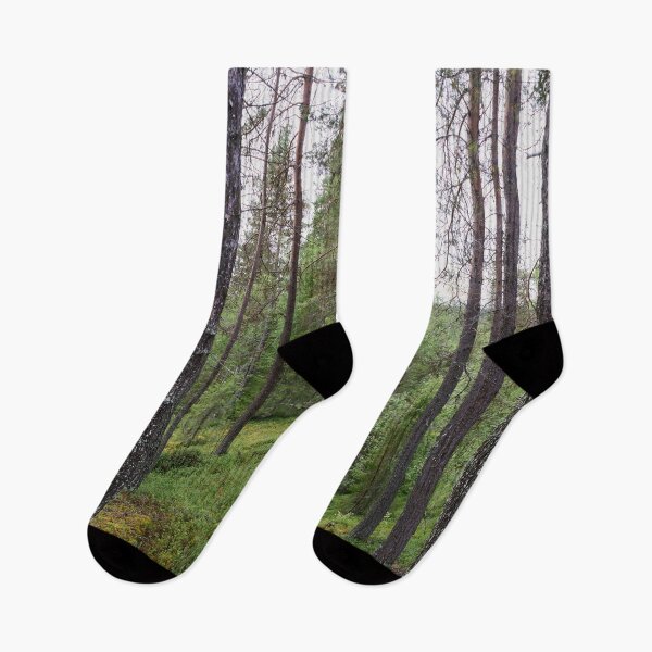 Item preview, Pineside. Kuusamo, Ristikallio designed and sold by Jouko Lehto Photography.