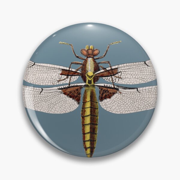 Item preview, Broad-Bodied Chaser Dragonfly Illustration | Vintage Entomological Print designed and sold by Folio and Field: Archival Art for Modern Living.