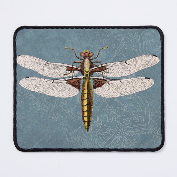 Item preview, Broad-Bodied Chaser Dragonfly Illustration | Vintage Entomological Print designed and sold by Folio and Field: Archival Art for Modern Living.