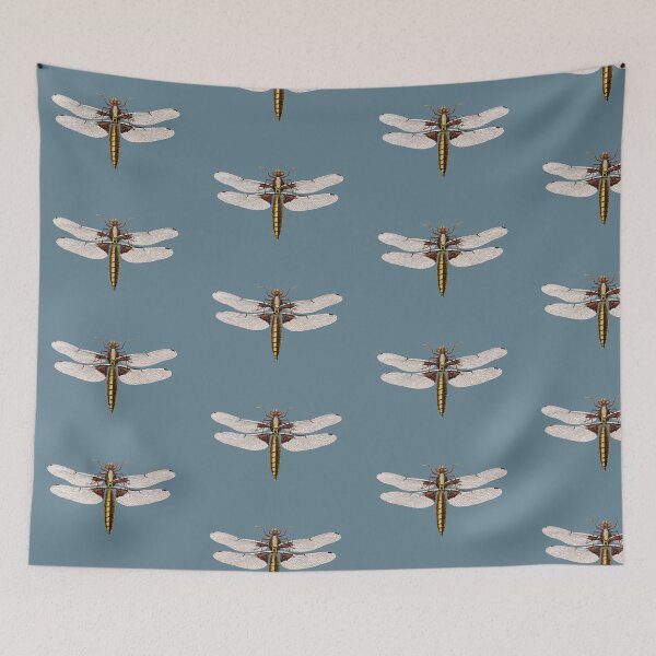 Item preview, Broad-Bodied Chaser Dragonfly Illustration | Vintage Entomological Print designed and sold by Folio and Field: Archival Art for Modern Living.