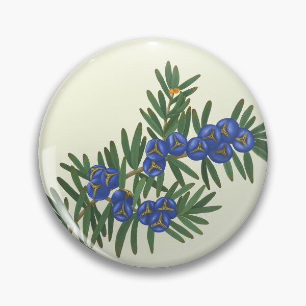 Item preview, Juniper Branch Botanical Print - Evergreen Art designed and sold by Fiurdelin.