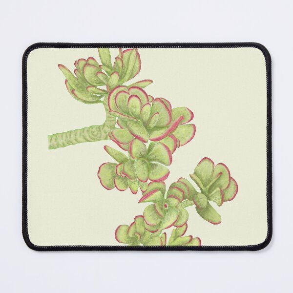 Item preview, Jade Plant Botanical Print - Succulent Art designed and sold by Fiurdelin.