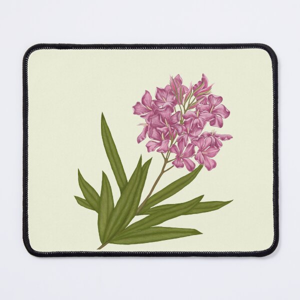 Item preview, Oleander Flower Botanical Art - Mediterranean Shrub Print designed and sold by Fiurdelin.