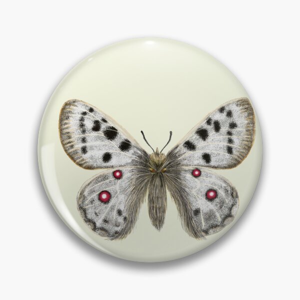 Item preview, Apollo Butterfly Botanical Art - Mountain Butterfly Print designed and sold by Fiurdelin.