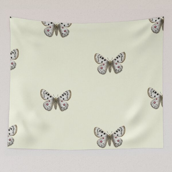 Item preview, Apollo Butterfly Botanical Art - Mountain Butterfly Print designed and sold by Fiurdelin.