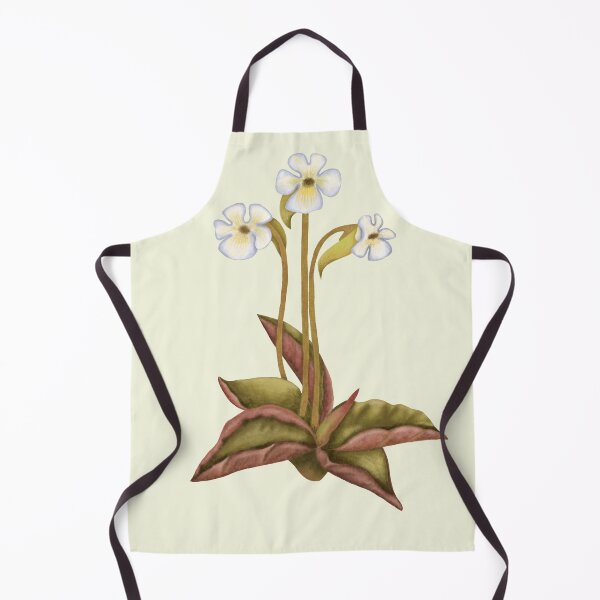 Item preview, Pinguicula Carnivorous Plant Print - Butterwort Botanical Art designed and sold by Fiurdelin.