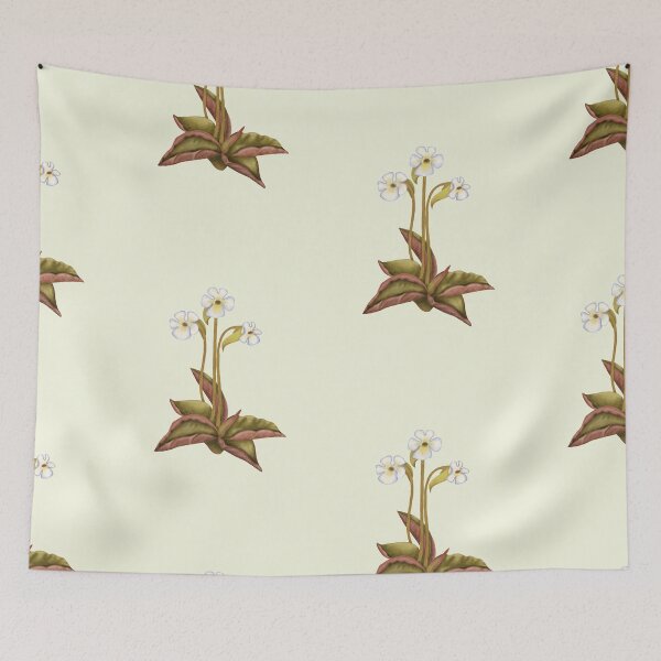 Item preview, Pinguicula Carnivorous Plant Print - Butterwort Botanical Art designed and sold by Fiurdelin.