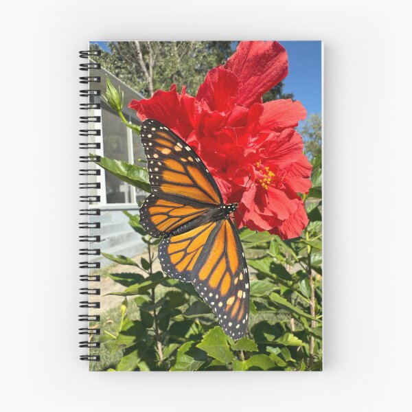 Item preview, Southbound Monarch: Flight of Fall designed and sold by Love, Q Creative.