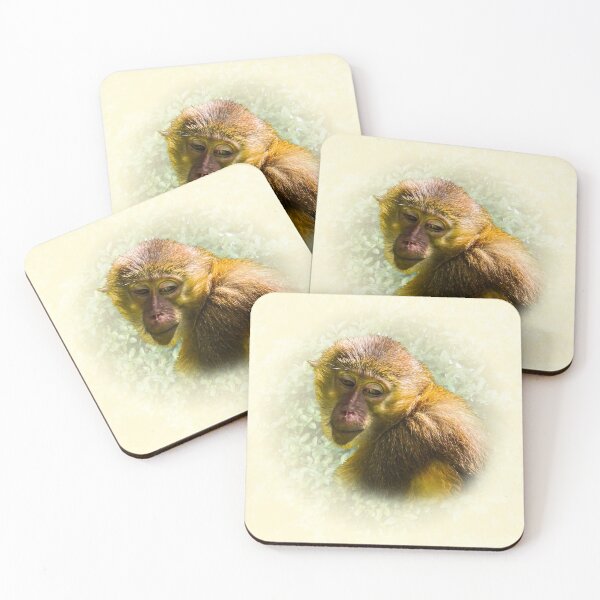 Item preview, Golden-Bellied Mangabey designed and sold by Guardi71.