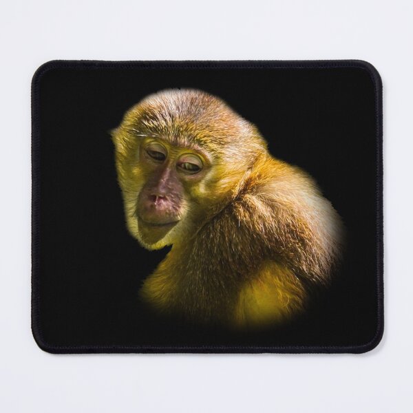 Item preview, Golden-Bellied Mangabey designed and sold by Guardi71.