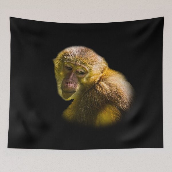 Item preview, Golden-Bellied Mangabey designed and sold by Guardi71.