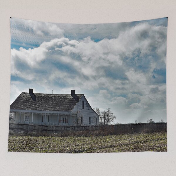 Item preview, Decaying Plantation House In Louisiana designed and sold by KillNFuel.