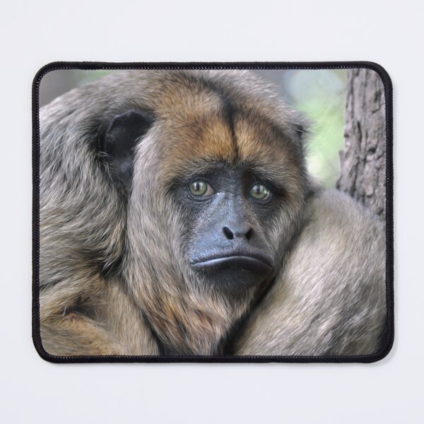 Item preview, Howler Monkey designed and sold by Savannah Gibbs.