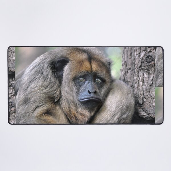 Item preview, Howler Monkey designed and sold by Savannah Gibbs.