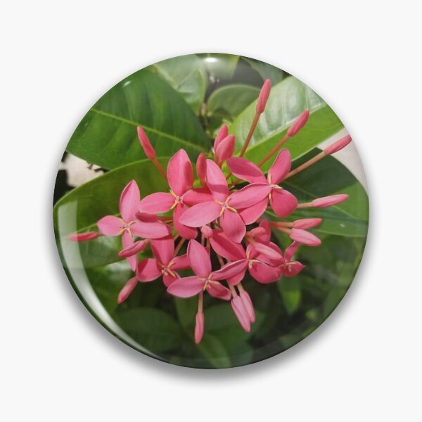 Item preview, Tropical Fower designed and sold by TheMahanStudio.