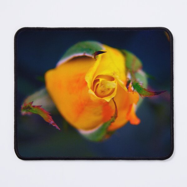 Item preview, Abundance designed and sold by equilibrio.