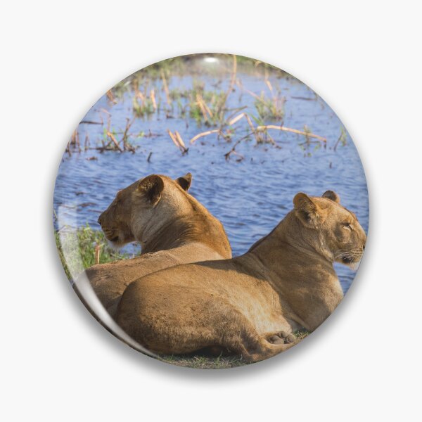 Item preview, Mother and Daughter Lionesses designed and sold by Kay Brewer.