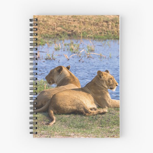 Item preview, Mother and Daughter Lionesses designed and sold by Kay Brewer.