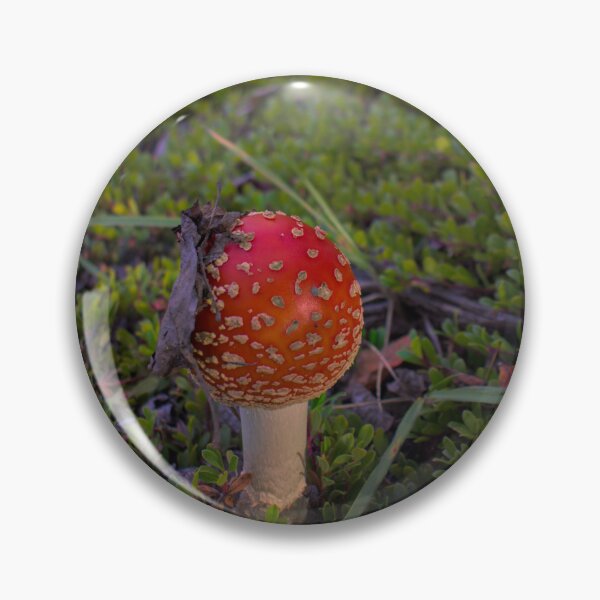 Item preview, Little Mushroom in a Big World designed and sold by mahnkephotos.