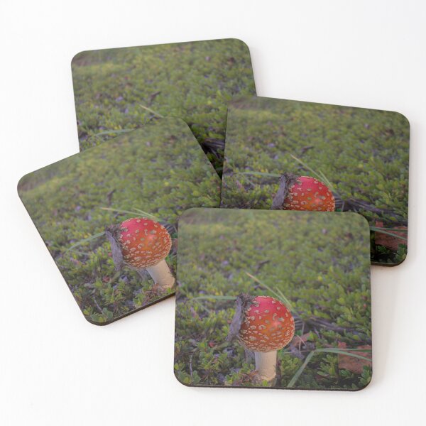 Item preview, Little Mushroom in a Big World designed and sold by mahnkephotos.