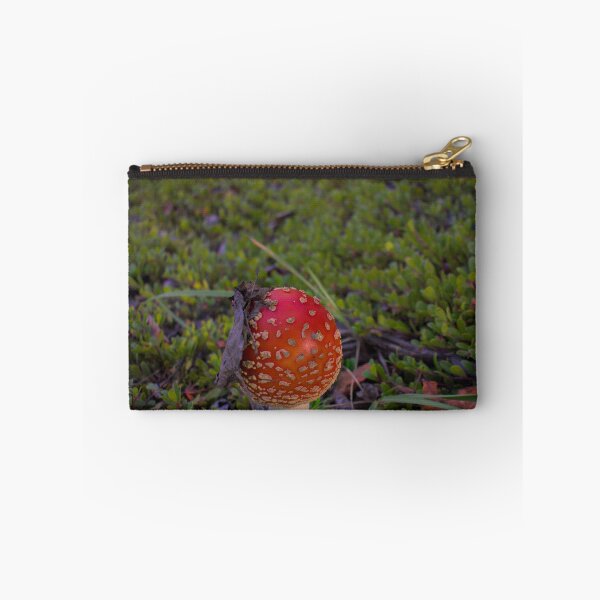 Item preview, Little Mushroom in a Big World designed and sold by mahnkephotos.