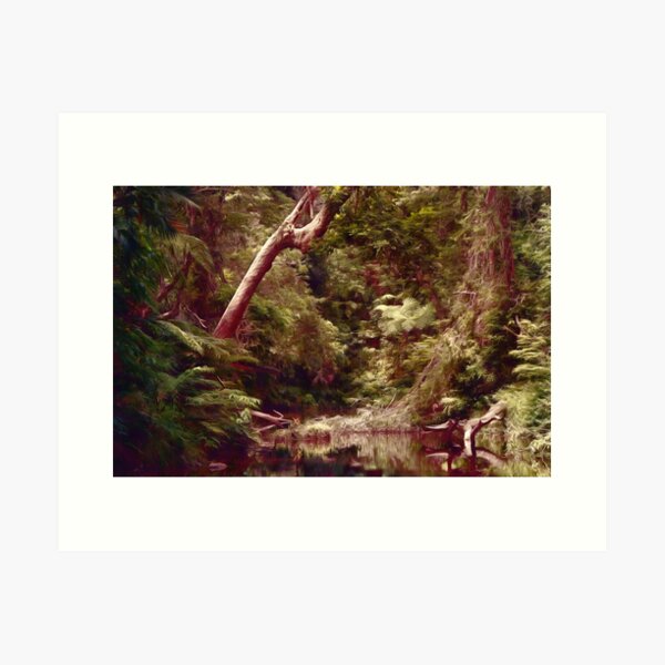 Item preview, Majestic Rainforest designed and sold by OzCamera.
