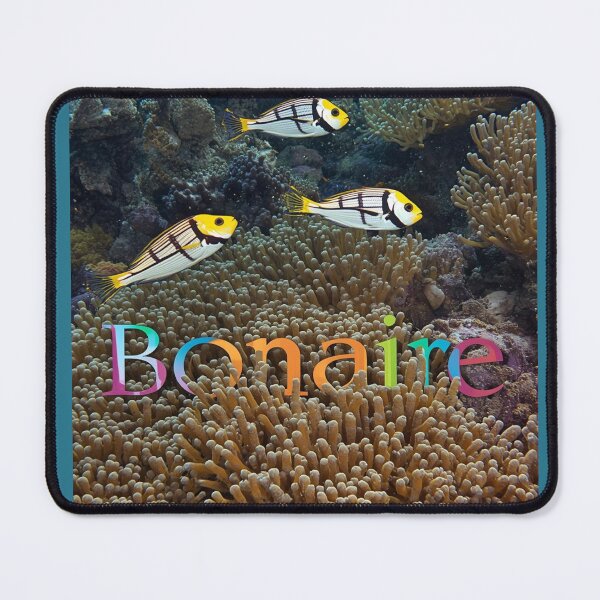 Item preview, Reef fish in bonaire coral designed and sold by seahorse crossing.
