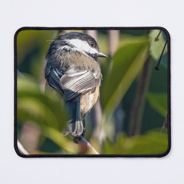 Item preview, Black-Capped Chickadee surrounded by foliage designed and sold by lisavonbiela.