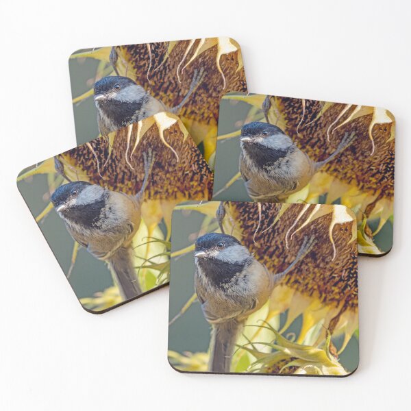 Item preview, Black-Capped Chickadee clinging to sunflower designed and sold by lisavonbiela.